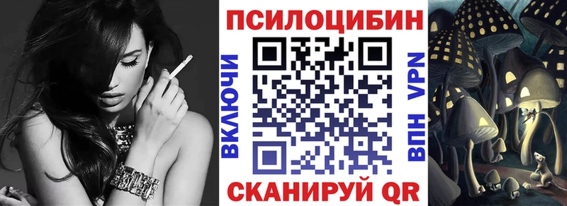 как найти закладки Кедровый Псилоцибиновые грибы Magic Shrooms